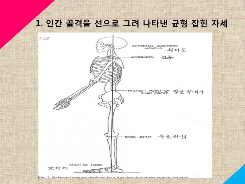 주찬양 찬양사역팀 / 주찬양 공지