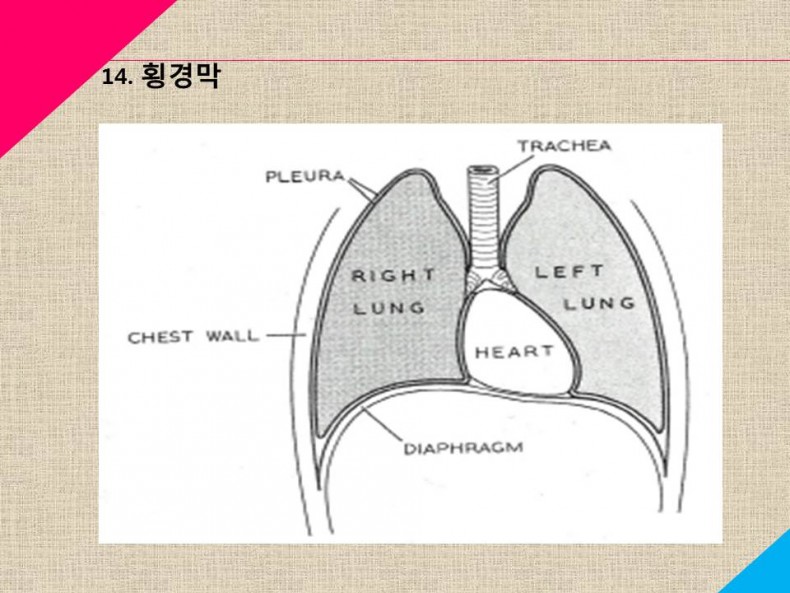 주찬양 찬양사역팀 / 주찬양 공지